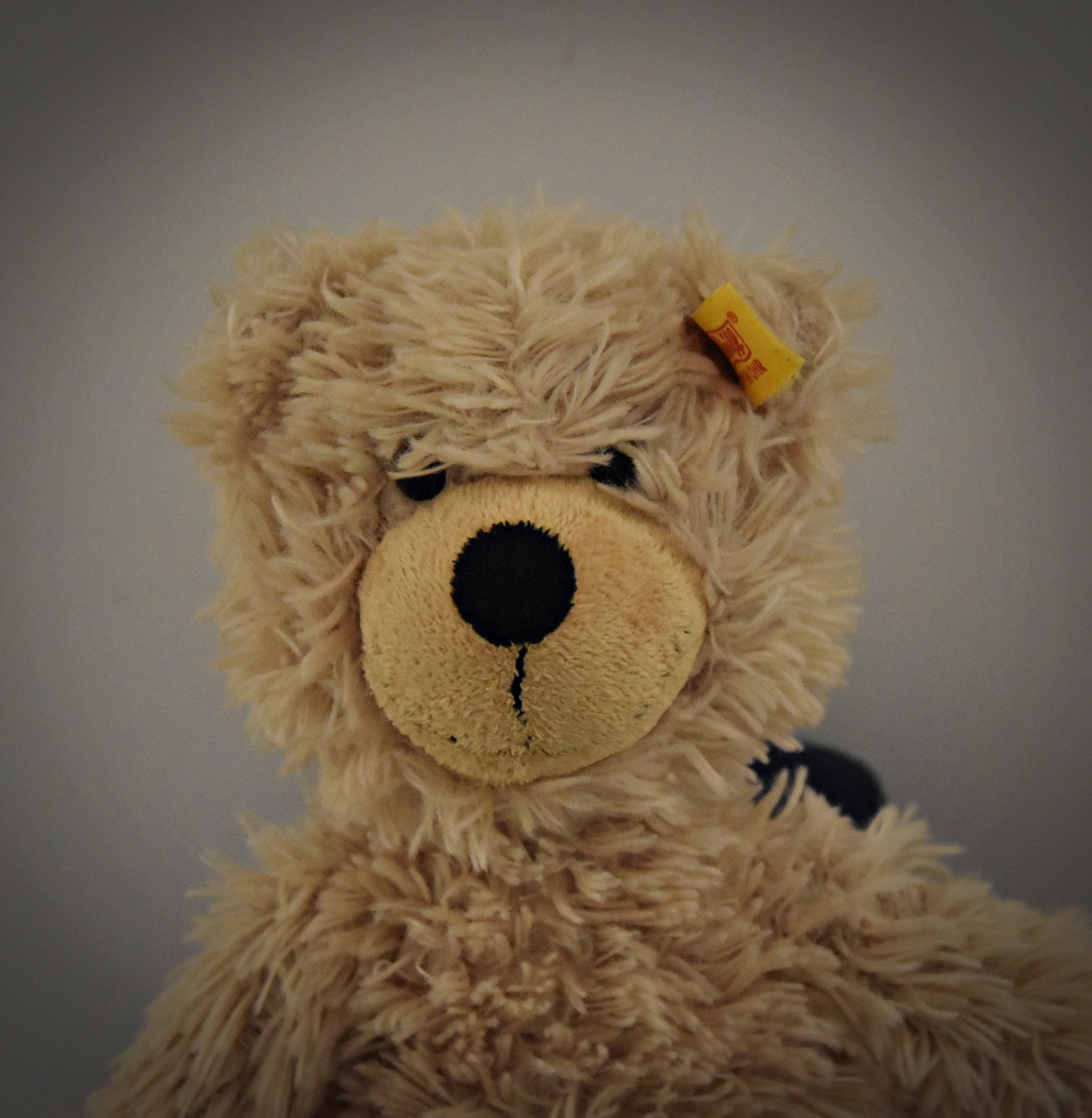 Vintage Steiff Bear Charly Dangling/Beige/Cuddle Bear/NR 012815/button in ear and label-label