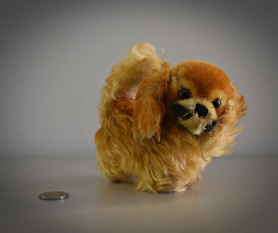 Vintage original Steiff Peky / cute Pekingese dog / Mohair / button in earpiece, label and chest label missing / late 50s