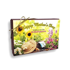 Regalo per la semina dei semi di fiori selvatici per la festa della mamma