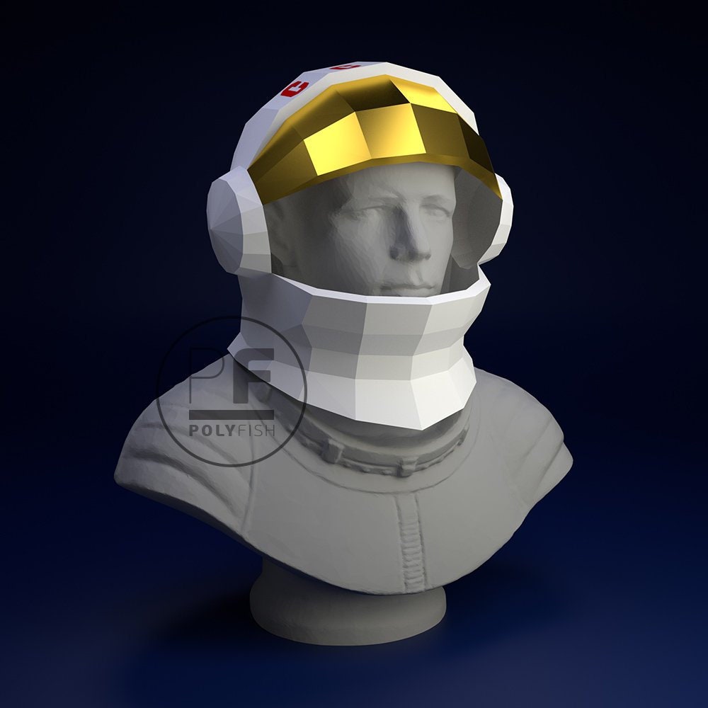 Essay on astronaut