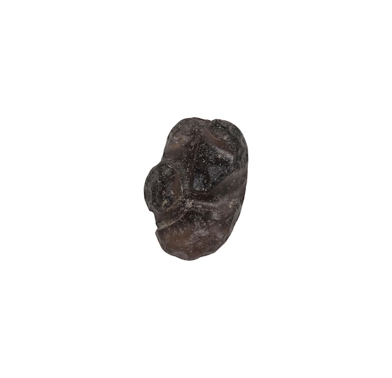 Raw Colombianite "Lightning Stone", 6.25g Natural Pseudo Tektite from Cauca, Colombia 26.2mm