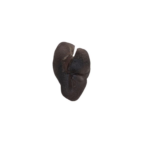 Raw Colombianite "Lightning Stone", 7.61g Rare Natural Pseudo Tektite from Cauca, Colombia 27.7mm
