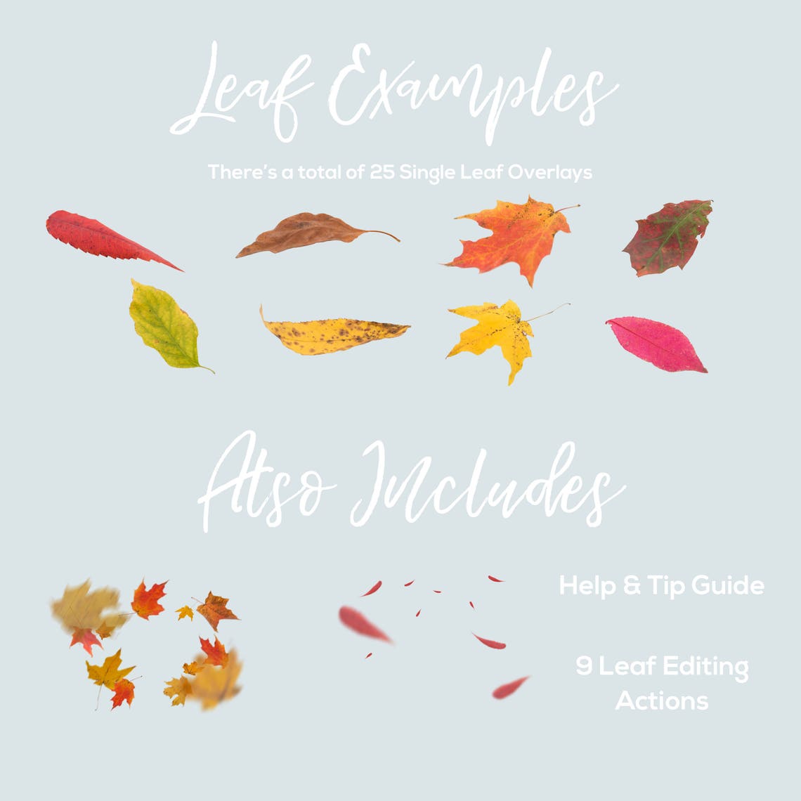 Leaf Overlays Photoshop Overlays Autumn Leaf Overlays - Etsy