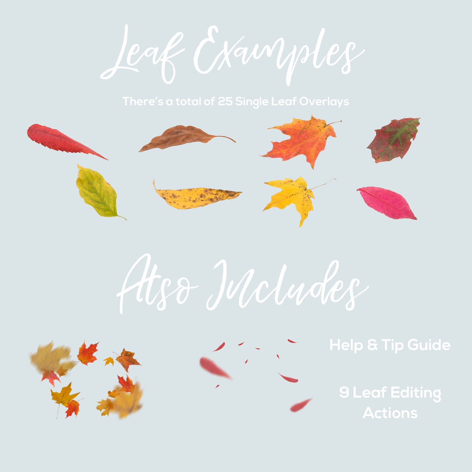 Leaf Overlays Overlays Autumn Leaf Overlays Etsy