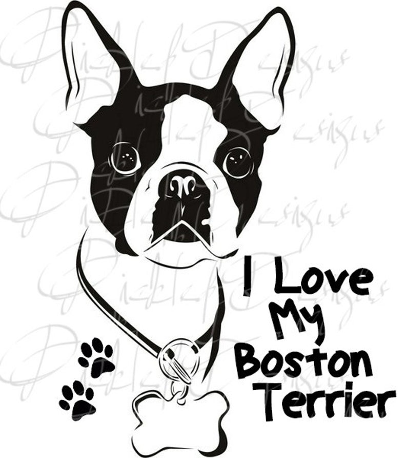 DOWNLOAD...BOSTON Terrier Dog SVG Decal Puppy Download Sticker | Etsy