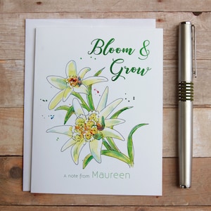 Tarjetas personalizadas de flores de Edelweiss y notas de crecimiento - Nota de agradecimiento de Edelweiss, Flor de montaña alpina, Notas botánicas, Flor única