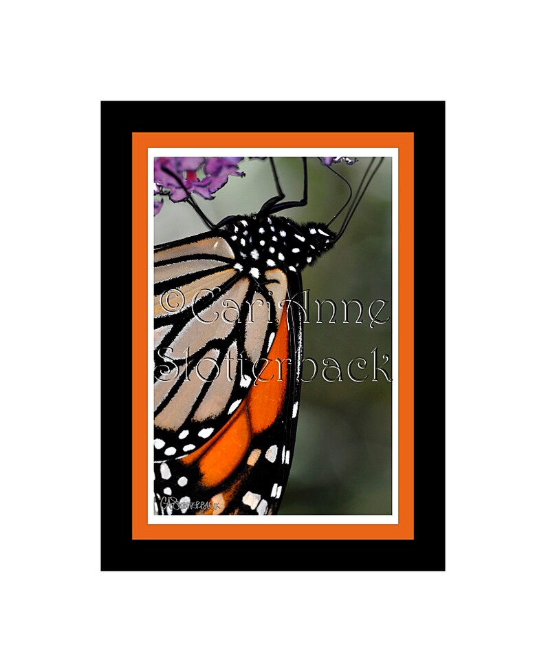 cuff bracelet pattern monarch butterfly pattern butterfly bracelet Monarch Butterfly Cuff Bracelet Loom /& Peyote stitch beading pattern