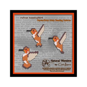 May include: A beading pattern for a rufous hummingbird, a small bird with a long, slender bill. The pattern is called Peyote/Brick Stitch Beading Patterns. The text in the image reads: "The rufous hummingbird (Selasphorus rufus) is a small hummingbird Peyote/Brick Stitch Beading Patterns long straight and slender bill These birds are known for their extraordinary flight skills flying 2000 mi (3200 km) during their migratory transits It is one of several species in the genus Selasphorus Both males and females rufus are territorial: however they have different types of territories [6] The more dense the population is, the more males fight to defend their territories and areas with dense populations are generally have shorter wings at a higher metabolic cost to cover the same distance. This allows males to beat their wings at a higher frequency giving them the ability to chase and attack other birds of short distances. They are compensated for by the fact that these birds need to waste energy foraging for food. Their defended territory provides plenty of access to females on the other hand, the males generally defend their territories by forcing females to be more social and populated, forcing them to fly further before they can find a mate.  Natural Wonders by Cari Anne Photography, graphics, handmade jewelry & supplies www.etsy.com/shop/NaturalWondersbyCari @CariAnneSlotterback"
