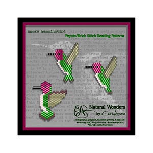 May include: A close-up of a beading pattern for an Anna's hummingbird. The pattern is made with peyote and brick stitch beading. The image includes text that reads "Peyote/Brick Stitch Beading Patterns" and "Natural Wonders by Cari Anne".
