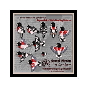 Rose-breasted Grosbeak (11pc) bird brick / peyote stitch seed bead patterns for pendants, charms, earrings, songbird pattern cardinal family
