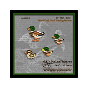 Mallard (4pc) brick/peyote stitch beading patterns for pendants, charms, earrings, bracelets, keychains, pins, waterfowl, ducks