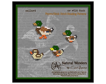 Mallard (4pc) brick/peyote stitch beading patterns for pendants, charms, earrings, bracelets, keychains, pins, waterfowl, ducks