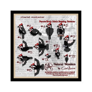 Pileated Woodpecker 12pc Brick / Peyote Stitch Seed Bead Patterns for