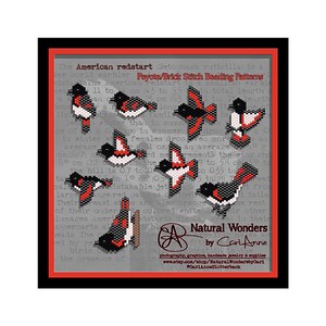 May include: Peyote and Brick Stitch Beading Patterns for creating American Redstart birds. The patterns are shown with a variety of redstart poses. The text reads "Natural Wonders by Cari Anne".