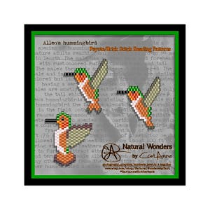 Allen&#39;s Hummingbird (3pc) brick/peyote stitch beading pattern collection for pendants, charms, earrings, pins, ornaments, accessories