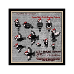 May include: A black and white beading pattern of a pileated woodpecker, with red accents on the head and wings. The pattern is labeled "Peyote/Brick Stitch Beading Patterns" and "Natural Wonders by Cari Anne".