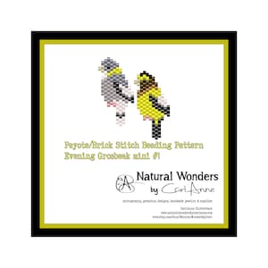 May include: Beading pattern for an Evening Grosbeak, a small bird with yellow and black plumage. The pattern is for peyote or brick stitch beading. The pattern is titled "Evening Grosbeak mini #1" and is by Natural Wonders by Cari Anne.