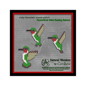 May include: A framed artwork featuring three beaded hummingbird designs in green, red, and tan. The text reads "The ruby-throated hummingbird" and "Natural Wonders" with a website address.
