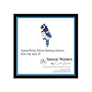 May include: A digital pattern for beading a blue jay bird using the peyote or brick stitch technique. The pattern is titled "Blue Jay mini #1" and is from the shop "Natural Wonders by Cari Anne".