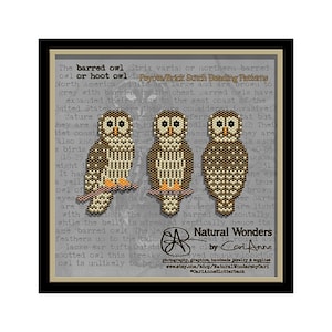 May include: Three beaded barred owl patterns in brown, beige, and white. The patterns are labeled "Peyote/Brick Stitch Beading Patterns" and "Natural Wonders by Cari Anne".