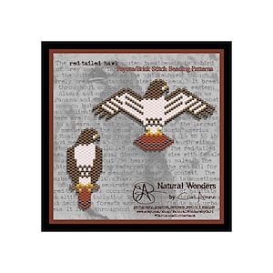 May include: A Peyote/Brick Stitch Bending Pattern beading chart featuring a red-tailed hawk. The chart includes a detailed description of the red-tailed hawk, its size, and habitat. The chart is titled "Natural Wonders by Cari Anne".