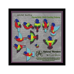 May include: A colourful beaded pattern of a painted bunting bird, a type of small songbird, with the text "Peyote/Brick Stitch Beading Patterns" and "Natural Wonders by Cari Anne".