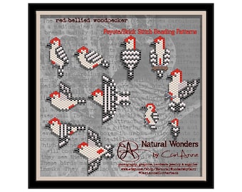 Red-bellied Woodpecker (11pc) brick / peyote stitch beading patterns for pendants, charms, pins, earrings, woodpecker pattern, bird pattern