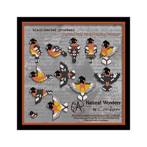 Könnte beinhalten: Eine Sammlung von 10 Perlenmustern für einen Schwarz-Kopf-Kernbeißer, eine Vogelart. Die Muster sind im Peyote- oder Ziegelstich-Stil. Der Text "Peyote/Brick Stitch Beading Patterns" ist im Bild enthalten. Das Bild ist auf braunem Hintergrund mit Text über den Schwarz-Kopf-Kernbeißer.