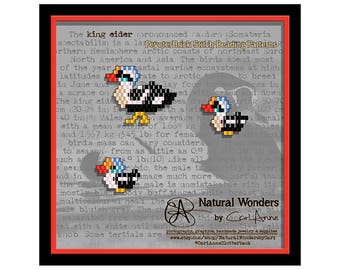 King Eider (3pc) brick/peyote stitch beading patterns for pendants, charms, earrings, bracelets, keychains, pins, waterfowl, ducks, seabirds