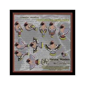 May include: A set of beading patterns for a Bohemian waxwing bird. The patterns are in a Peyote/Brick stitch style. The text "Natural Wonders by Cari Anne" is at the bottom of the image.