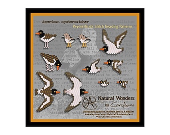 American Oystercatcher (11pc) brick & peyote stitch patterns for pendants, earrings, charms, pins, key chains, ornaments
