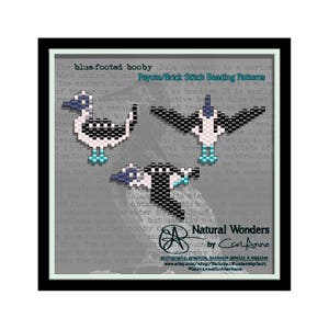 Paquete de patrones de puntada de ladrillo / peyote de piquero de patas azules (3pc) para encantos, pendientes, colgantes, alfileres, patrón de aves, aves marinas