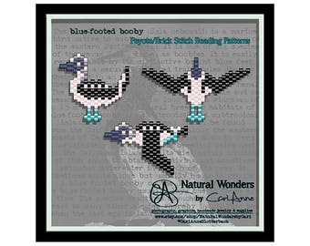 Blue-footed Booby (3pc) brick / peyote stitch pattern pack for charms, earrings, pendants, pins, bird pattern, seabirds