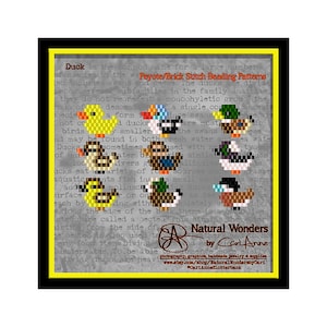 May include: A set of 10 beading patterns for ducks, featuring different species and colors. The patterns are designed for peyote or brick stitch beading. The text "Natural Wonders by Cari Anne" is at the bottom of the image.