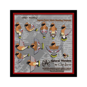May include: Eight beading patterns for a cedar waxwing bird. The patterns are in a brick stitch and peyote stitch. The patterns are in shades of brown, orange, yellow, and gray. The text "Peyote/Brick Stitch Beading Patterns" is at the top of the image. The text "Natural Wonders by Cari Anne" is at the bottom of the image.