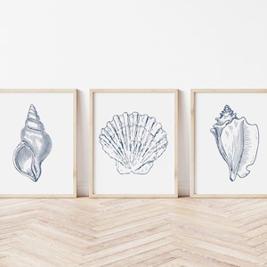 May include: Three framed prints featuring detailed blue seashell illustrations on a white background. The prints are in light wood frames and are displayed on a wooden floor, creating a coastal theme.