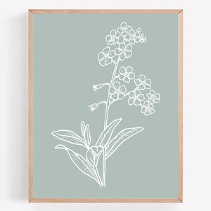 May include: A white line drawing of a forget-me-not flower on a light blue background.
