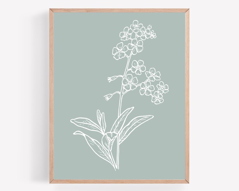 May include: A white line drawing of a forget-me-not flower on a light blue background.