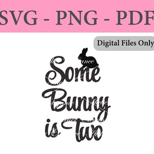 Certains lapin sont deux fichiers, SVG, PNG, PDF, fichier coupé, téléchargement immédiat, 2e anniversaire de lapin, 2e anniversaire de Pâques, 2 avril anniversaire, décoration