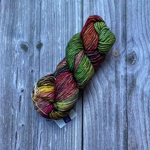 May include: A skein of yarn in shades of green, red, and yellow. The yarn is twisted into a loose coil and has a label that says "S" on it.