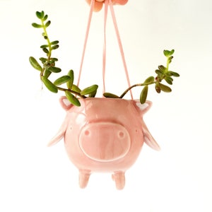 Flying Pig Hanging Plant Holder. A Cute Pig Shaped Hanging Vase in Ceramic. Handmade in Italy.