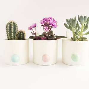 Sweet Bunny Planter Pot for Succulent, Cactus or Flower. Desk Planter Gift. Ceramic Handmade in Italy. image 3
