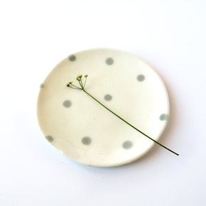 May include: A small, white ceramic dish with a grey polka dot pattern. A single sprig of green foliage sits on the dish.