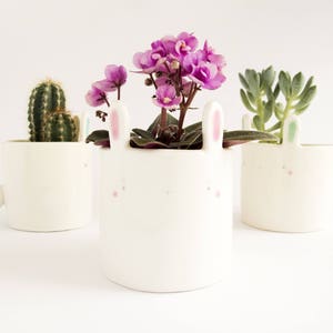 Sweet Bunny Planter Pot for Succulent, Cactus or Flower. Desk Planter Gift. Ceramic Handmade in Italy. image 1