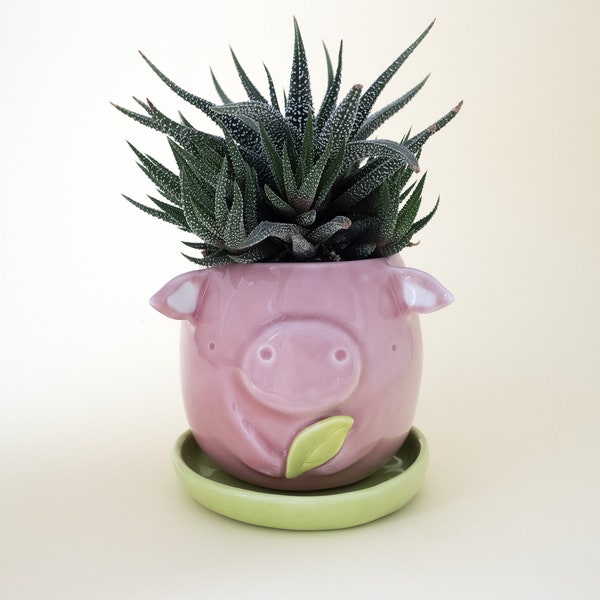 Pig Planter with Saucer. A Cute Plant Pot for Succulent to grow in. Kit or Single Item. Ceramic Handmade in Italy.