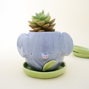 Elephant Planter with Saucer. An Handmade Plant Pot for Succulent to grow in. Kit or Single Item. Ceramic Handmade in Italy.