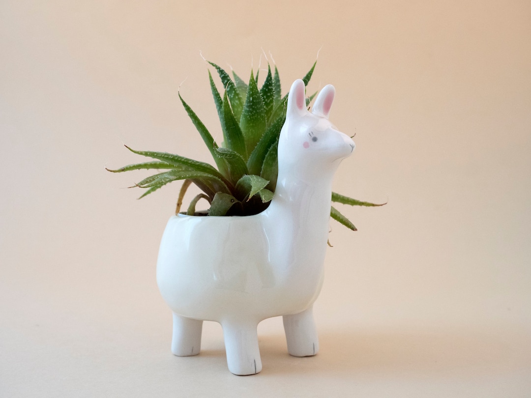 Llama Planter Pot, Cute Animal Plant Pot. Special Gift for Llamas