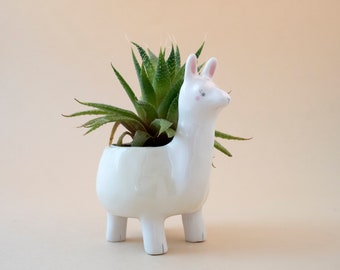Llama Planter Pot, Cute Animal Plant Pot. Special Gift for Llamas Lovers or Cactus Lovers. Ceramic Handmade in Italy.
