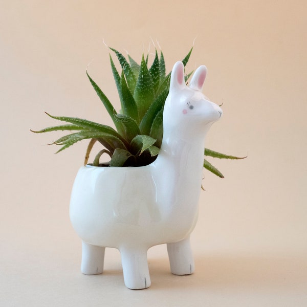 Llama Planter Pot, Cute Animal Plant Pot. Special Gift for Llamas Lovers or Cactus Lovers. Ceramic Handmade in Italy.