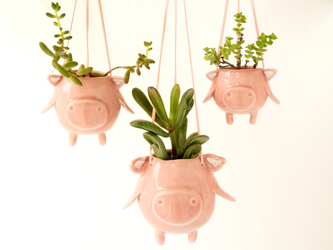 10 Fun Wall Hanging Planters To Bring Nature Indoor 10 May include: Three pink ceramic pig planters with green succulents hanging from white strings against a white background.